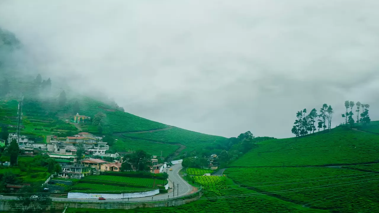 ooty-1655457424_bca80f81e8391ebdaaca